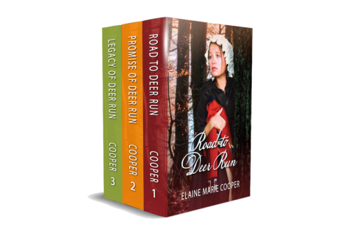 historical romance series set - Deer Run Saga - Christian Bible study book