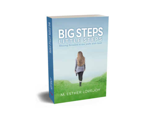 Big Steps Little Steps by author Esther Lovejoy from Christian publisher CrossRiver Media Group